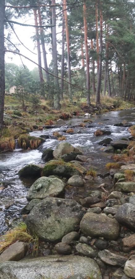 Casa Rural Los 7 Pinos De Gredos Navarredonda Esterno foto